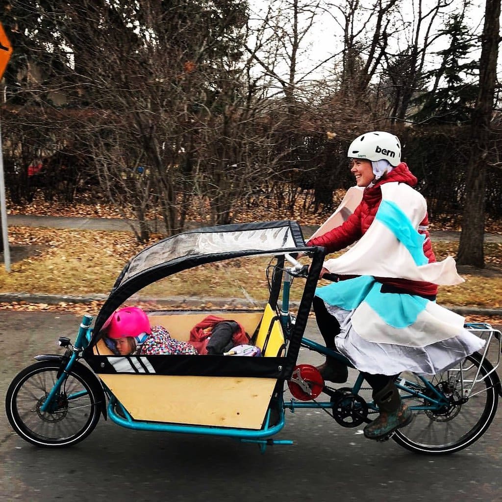 cargo family bike